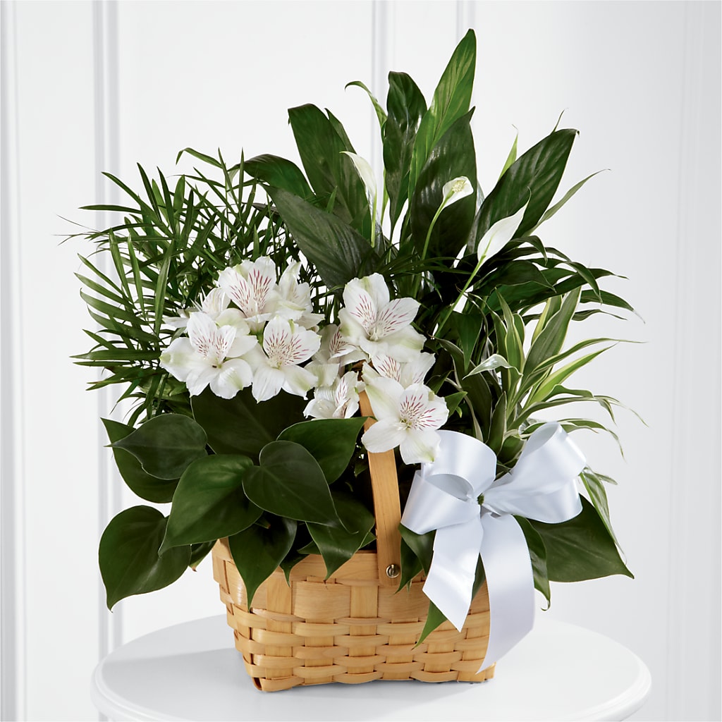 Peace & Serenity Dishgarden – Flower Loft, Southfield MI