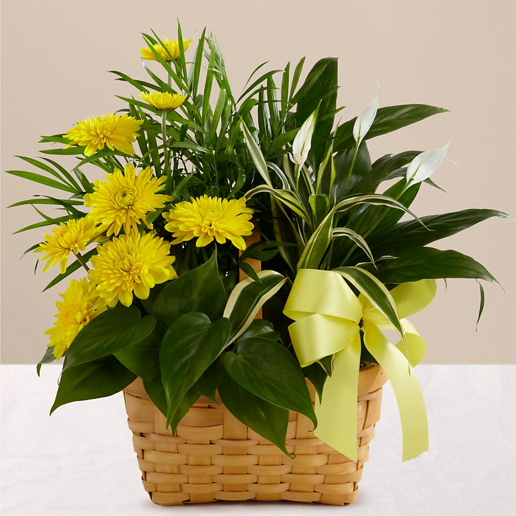 Loving Light Dishgarden – Flower Loft, Southfield MI