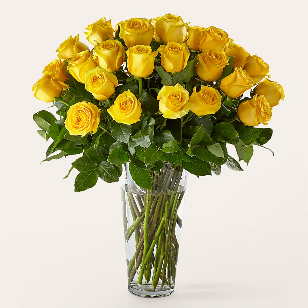 Long Stem Yellow Rose Bouquet – Flower Loft, Southfield MI