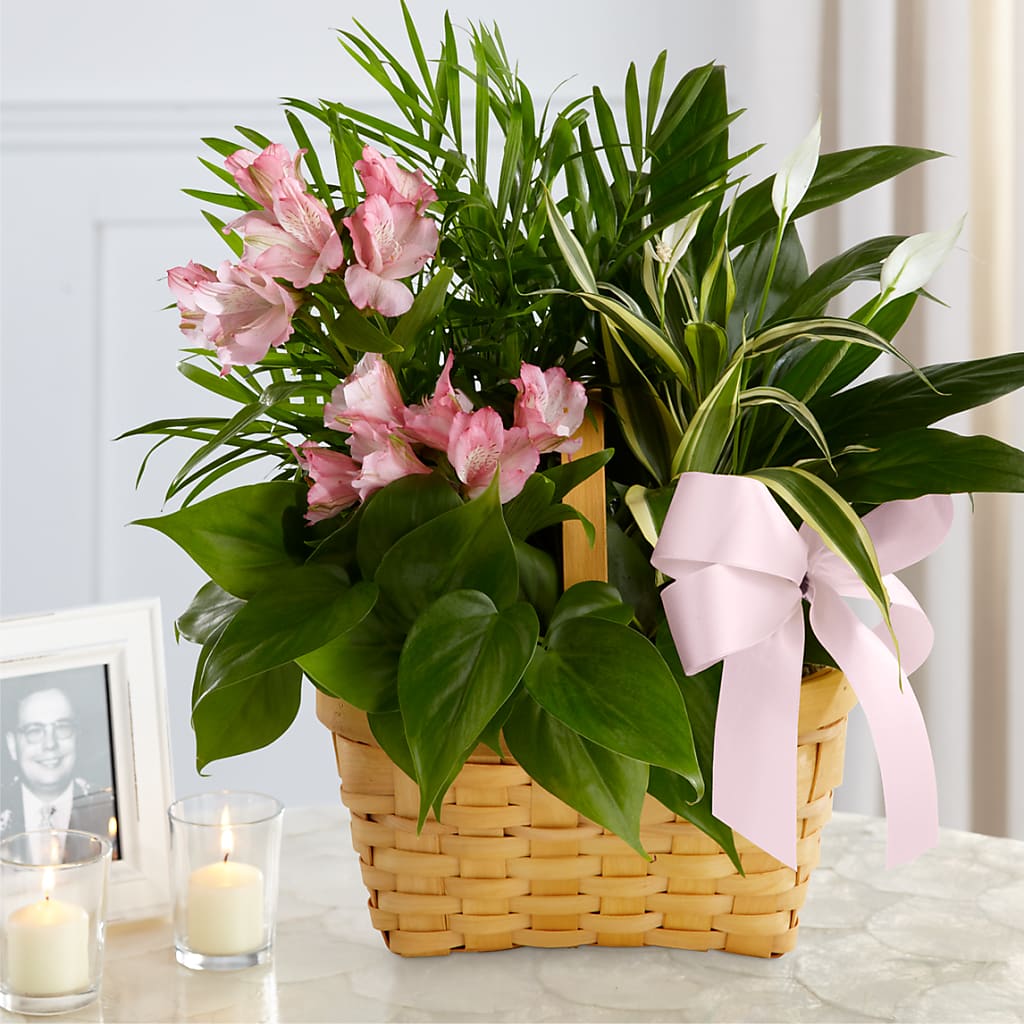 Living Spirit Dishgarden – Flower Loft, Southfield MI