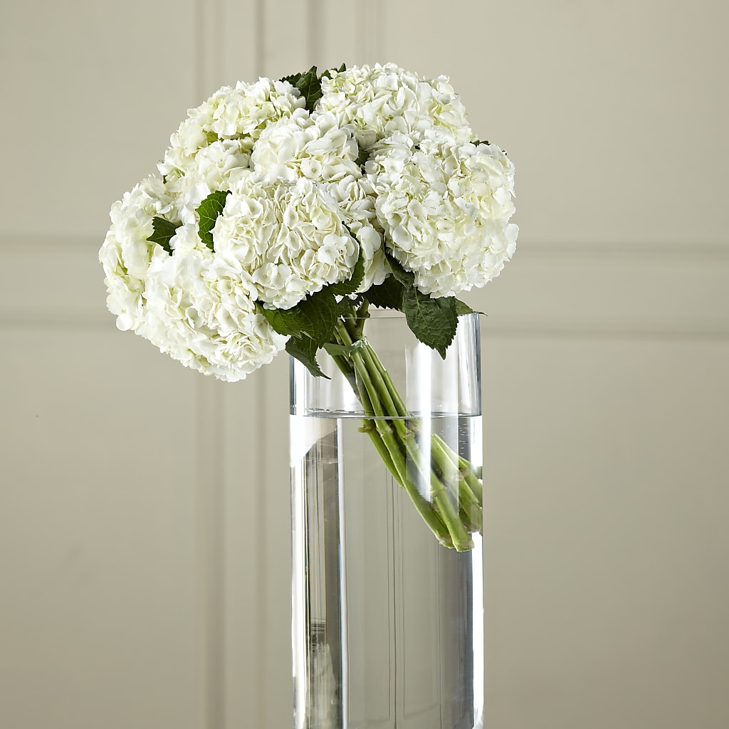 White Hydrangea Hand-Tied Bouquet – Flower Loft, Southfield MI