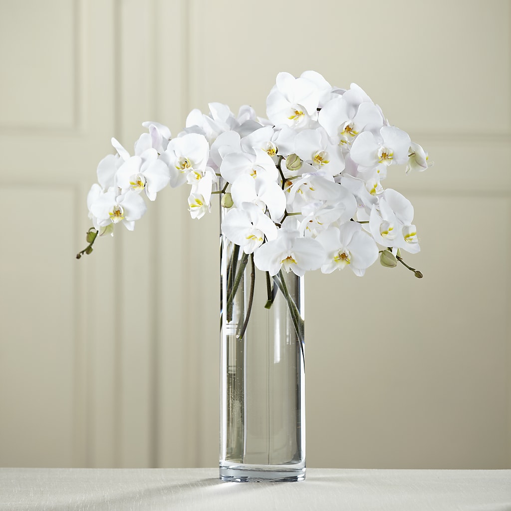 White Phalaenopsis Bouquet – Flower Loft, Southfield MI