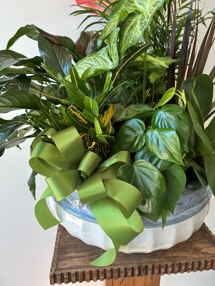 Add Bow –  Flower Loft, Southfield MI