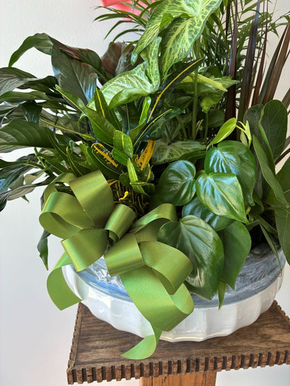 Add Bow –  Flower Loft, Southfield MI