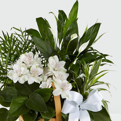 Peace & Serenity Dishgarden –  Flower Loft, Southfield MI