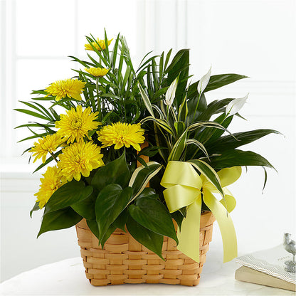 Loving Light Dishgarden –  Flower Loft, Southfield MI