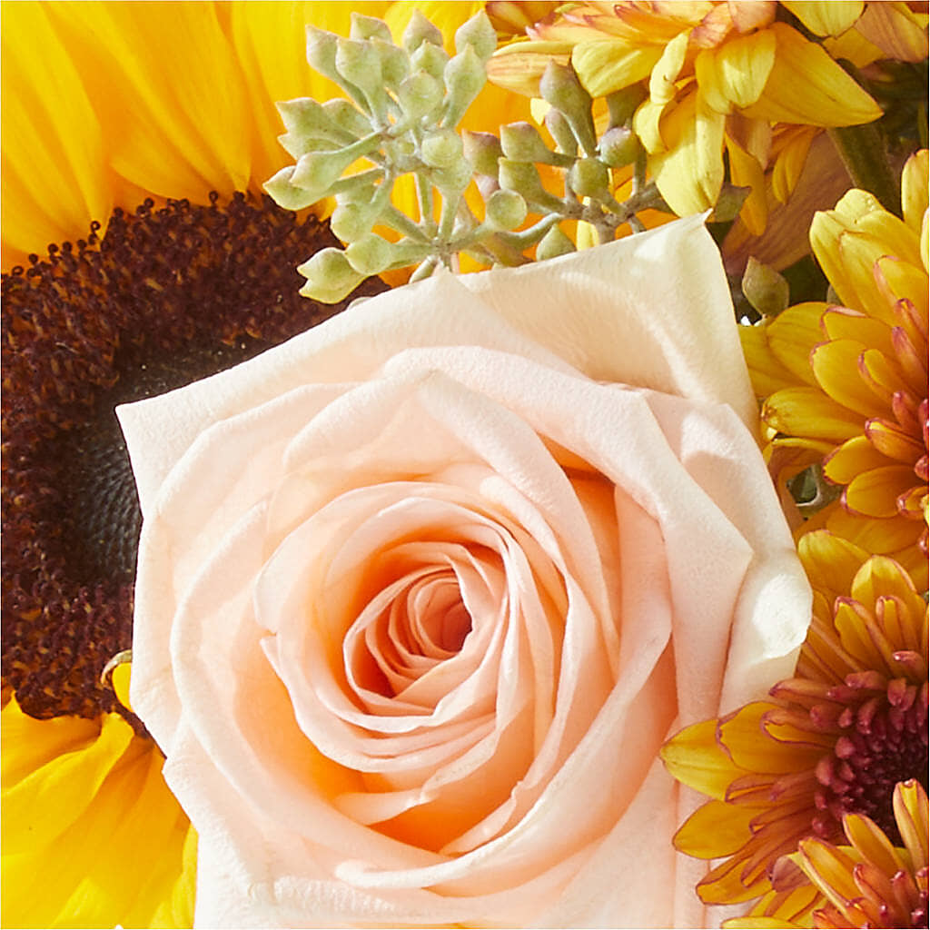 Pumpkin to Talk About Bouquet –  Flower Loft, Southfield MI