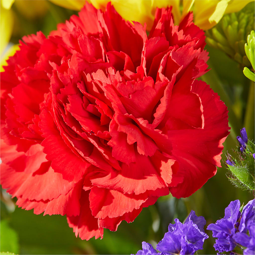 Brighter Days Bouquet –  Flower Loft, Southfield MI