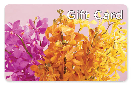 Gift Card –  Flower Loft, Southfield MI