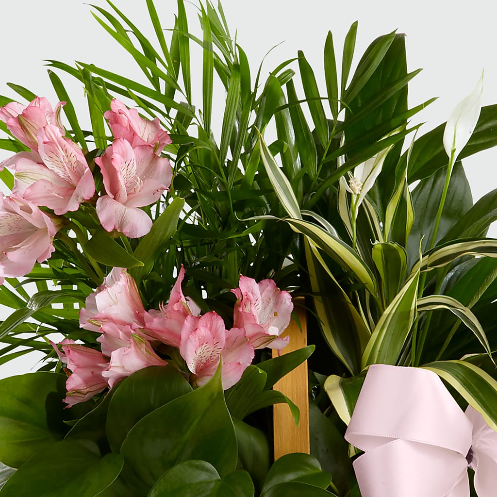 Living Spirit Dishgarden –  Flower Loft, Southfield MI