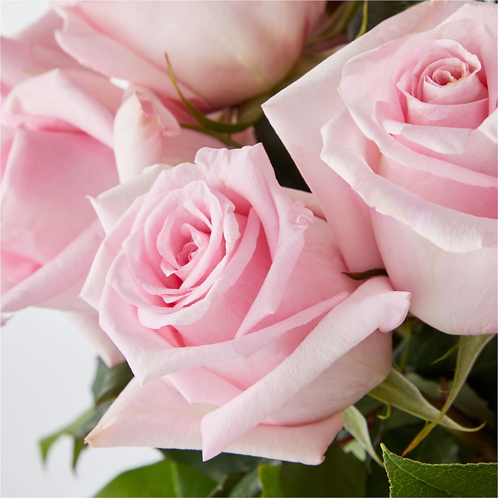 Picture Perfect Pink Rose Bouquet –  Flower Loft, Southfield MI