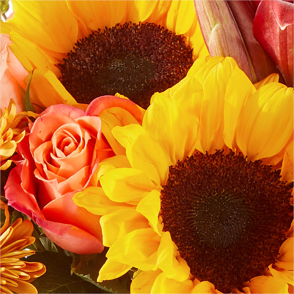 Acorn Lane Bouquet –  Flower Loft, Southfield MI