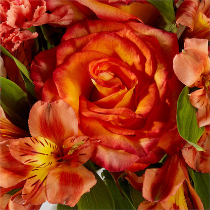 Apricot Glow Bouquet –  Flower Loft, Southfield MI