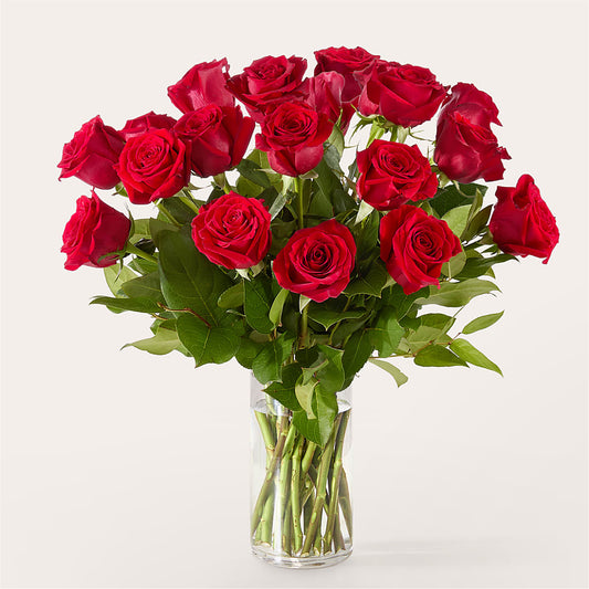 The One Red Rose Bouquet –  Flower Loft, Southfield MI