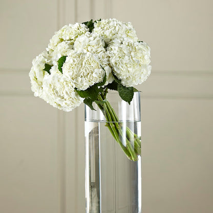 White Hydrangea Hand-Tied Bouquet –  Flower Loft, Southfield MI