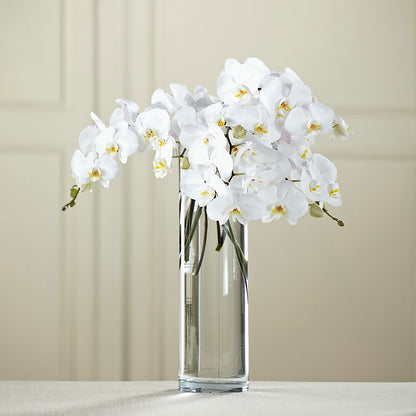 White Phalaenopsis Bouquet –  Flower Loft, Southfield MI